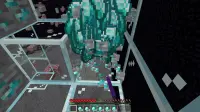 X-Ray Fortune 999