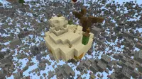 Skyblock X-Ray