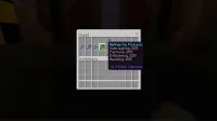X-Ray Fortune 999