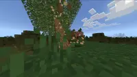 Smooth Craft Add-On