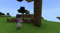 Dimensions Plus
