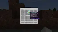 X-Ray Fortune 999